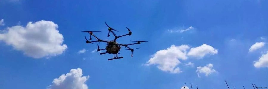 內蒙古玉米紅蜘蛛蟲害大爆發(fā) 農民從此相信無人機！